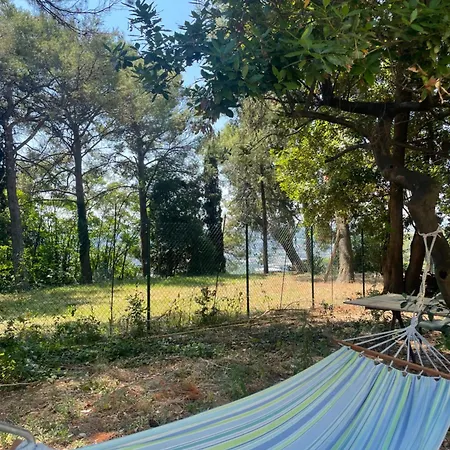 La Casa Nel Parco *